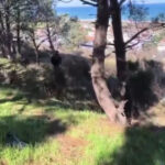 istanbul kayip olarak aranan ahmeti bacanaginin oldurdugu ortaya cikti kredi kartiyla altin almis ek bilgi 3b1bb7173968