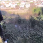 istanbul kayip olarak aranan ahmeti bacanaginin oldurdugu ortaya cikti kredi kartiyla altin almis ek bilgi 73812416126c