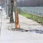 istanbul kucukcekmecede kaza yapan otomobil dereye uctu 07d1820763c3