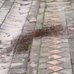 istanbul sultangazide apartman onunde bekleyen 2 cocuga bicakli saldiri kamerada 2062641cbb37