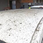 istanbul sultangazide beton pompasinin borusu patladi 2 apartman ve 3 arac betonla kaplandi 37b801a328ea