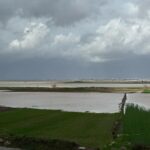 İzmir'de yağışlar çiftçinin yüzünü güldürdü 2 izmirde yagislar ciftcinin yuzunu guldurdu aa8d7a300c93