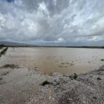 İzmir'de yağışlar çiftçinin yüzünü güldürdü 4 izmirde yagislar ciftcinin yuzunu guldurdu f5a3bbf9a812