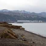 kayip bipolar hastasi enesi arama calismalarinda 6nci gun 545075f17f72