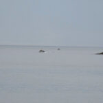 kayip bipolar hastasi enesi arama calismalarinda 6nci gun a6e5289a2ae8