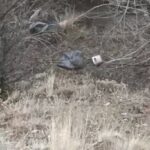 komsusunu 6 parcaya bolup dere yatagina atti 4c8eab04cc6e