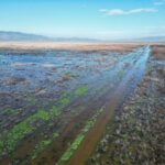 kuruyan marmara golunun su tuttugu alanlar dronla goruntulendi 2221e4c3d855