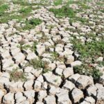 kuruyan marmara golunun su tuttugu alanlar dronla goruntulendi cef27cf44226