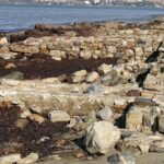 kusadasinda yagmur sulari anaia hoyugune ait kalintilari ortaya cikardi 9eb520dad6ac