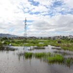 madagaskarda kuvvetli firtina nedeniyle hayatini kaybedenlerin sayisi 36ya yukseldi b94226f10306