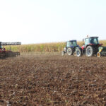 Mardin'de kar ve yağmur, çiftçiyi sevindirdi; bereket yılı bekleniyor 1 mardinde kar ve yagmur ciftciyi sevindirdi bereket yili bekleniyor 39a349a37fc8