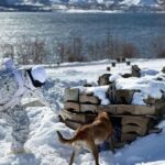 mehmetcikten derin karda kopekli arama egitimi 337aff6c4149