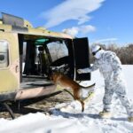 mehmetcikten derin karda kopekli arama egitimi f170a97be407