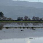 menderes nehri tasti 2 bin donumluk arazi sular altinda kaldi 6a9f3167955c