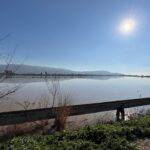 menderes nehri tasti 2 bin donumluk arazi sular altinda kaldi 9d1ec14a183d