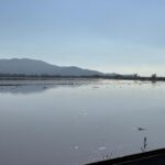 menderes nehri tasti 2 bin donumluk arazi sular altinda kaldi aad7c523701a