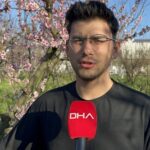 meyve agaclari cicek acti ciftci zirai dondan endiseli d0ab671b9ad6