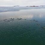 nazik golunun buz tabakasi cozuldu yabani ordekler suya dondu ee1630276389