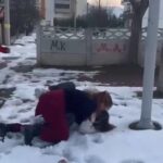 parkta kendilerinden kucuk kizlari darbettiler b1034d33a11c