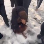 parkta kendilerinden kucuk kizlari darbettiler bc26f178607e