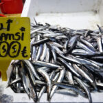 ramazan geldi baliga ilgi azaldi 37453c7bc713