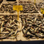 ramazan geldi baliga ilgi azaldi dbaa8b9598d2