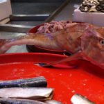 ramazan geldi baliga ilgi azaldi e18ff4687e38