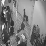 saka yapmak isterken arkadasinin kolonyali ellerini yakti o anlar kamerada 052d4f9de0db