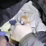 Sakarya’da otomobilde 1 kilo kokain ele geçirildi; 2 tutuklama 1 sakaryada otomobilde 1 kilo kokain ele gecirildi 2 tutuklama 681878139f47