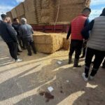 tirdan dusen saman balyalarinin altinda kalip oldu o anlar kamerada 791f459bef56