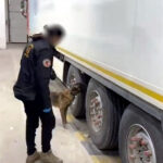 tirin stepnesinde 225 kilo skunk ele gecirildi 3bab25e87383