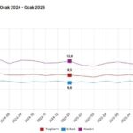TÜİK: İşsizlik ocakta arttı 1 tuik issizlik ocakta artti 201bcbfefe61