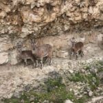 tuncelide yuzde 90i tamamlanan hes projesi mahkeme yolu ile iptal edildi 2e1dd40b6b4b