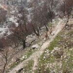 tuncelide yuzde 90i tamamlanan hes projesi mahkeme yolu ile iptal edildi f99e4f5b499a