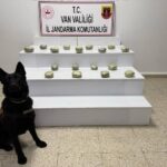 vanda arazide 20 kilo 250 gram esrar ele gecirildi 109a8a5dc2fa