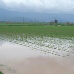 yagislari muhafaza edemezsek kuraklik yasamaya devam ederiz e7de3fe85215