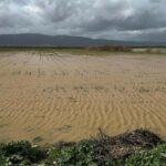 yagislari muhafaza edemezsek kuraklik yasamaya devam ederiz fed76f4f1827