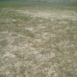 yer alti suyunda yaklasik 120 santimetre yukselme tespit ettik 50f94eb4bfe7