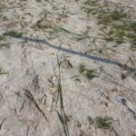 yer alti suyunda yaklasik 120 santimetre yukselme tespit ettik f0b464393730