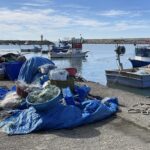 zonguldakta balik sezonu kotu geciyor 3e9451da0cb8