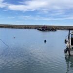 zonguldakta balik sezonu kotu geciyor 9a701f461991