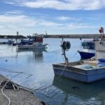 zonguldakta balik sezonu kotu geciyor c7cd6332f584