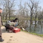 10 yaban ordegi ve tilki tedavileri sonrasi dogaya birakildi 0d9a91bab1ed