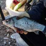 adanada av yasaginin basladigi gun oltacilarin koprudeki yogunlugu galatayi andirdi 68c9519a69f3