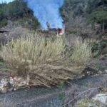 adanada ev yangini 551fdaf20c01