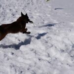 afad uludagda 150 personel ile cig arama kurtarma tatbikati yapti 7167edb1c996