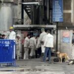 amasradaki maden faciasi davasinda istinaf sanik avukatlarinin basvurularini reddetti 5c81d72ecf71