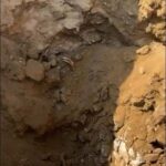 Aydın'da 16 yıldır kayıp iki kardeş ile ilgili yeniden soruşturma başlatıldı 2 aydinda 16 yildir kayip iki kardes ile ilgili yeniden sorusturma baslatildi 8f45ff7c2e8f