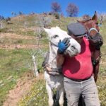 aydinda gunluk 8 bin tlye at ile cift surecek isci bulunamiyor 3f77dcc2f809