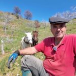 aydinda gunluk 8 bin tlye at ile cift surecek isci bulunamiyor 445295bc9dd1